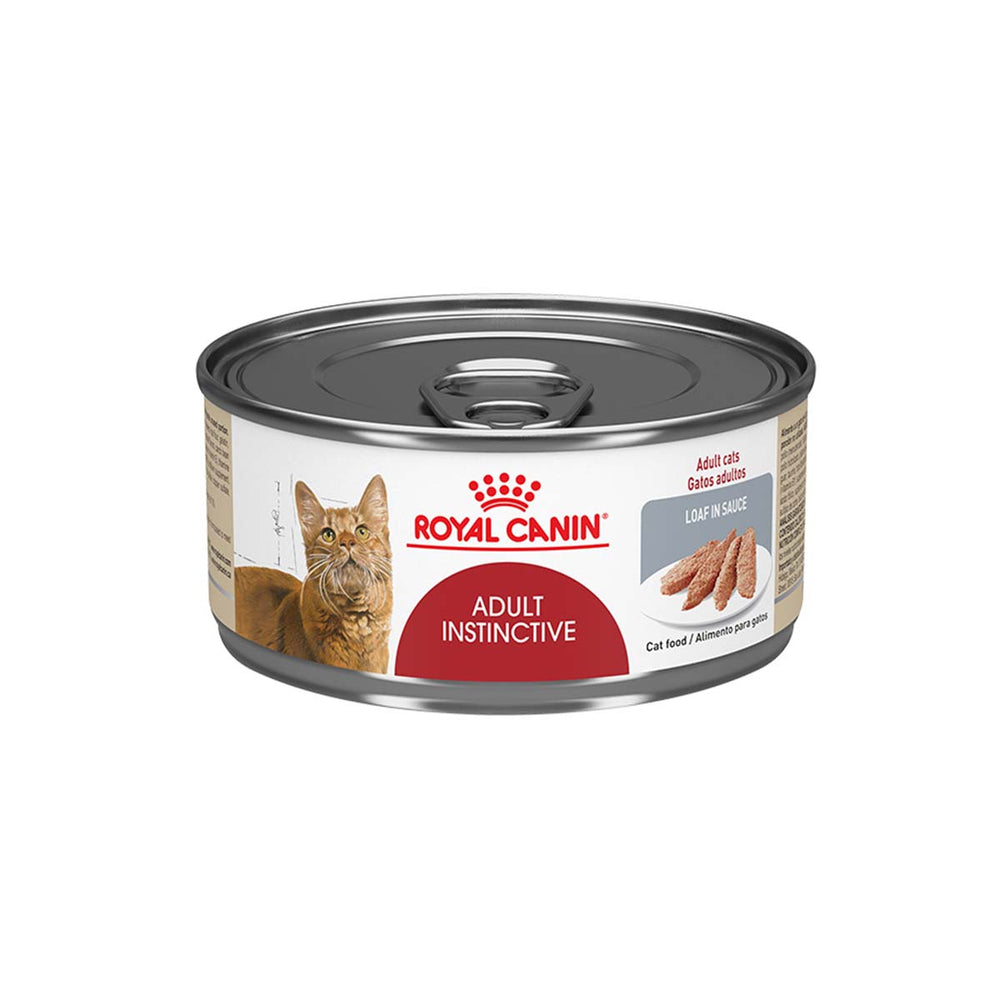 ALIMENTO HUMEDO PARA GATO ADULTO  ROYAL CANIN