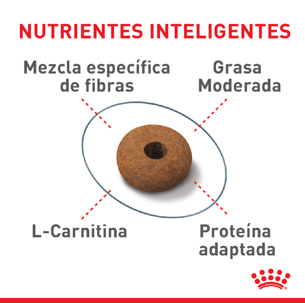 ALIMENTO SECO PARA GATOS CONTROL DE APETITO 2.73KG  ROYAL CANIN