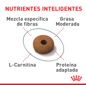 APPETITE CONTROL DRY CAT FOOD 6.35 KG ROYAL CANIN