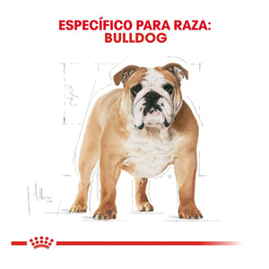 ALIMENTO SECO PARA PERRO BULLDOG 2.72KG ROYAL CANIN