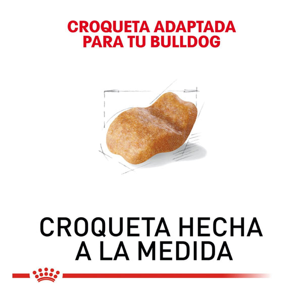 ALIMENTO SECO PARA PERRO BULLDOG 2.72KG ROYAL CANIN