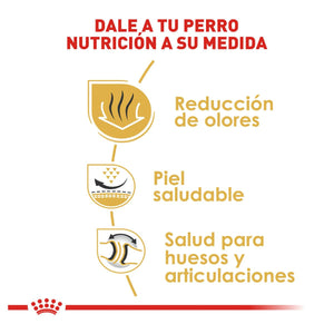 ALIMENTO SECO PARA PERRO BULLDOG ADULTO 7.7KG ROYAL CANIN