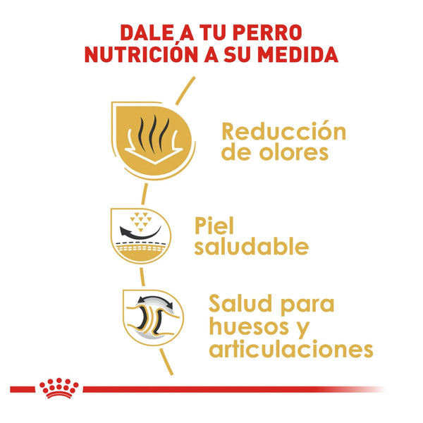 ALIMENTO SECO PARA PERRO BULLDOG ADULTO 7.7KG ROYAL CANIN