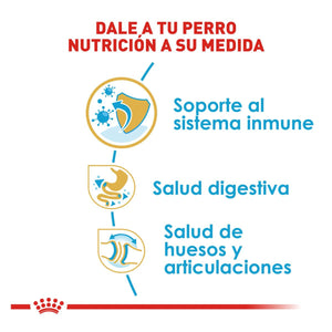 ALIMENTO SECO PARA CACHORRO BULLDOG 13.6KG ROYAL CANIN