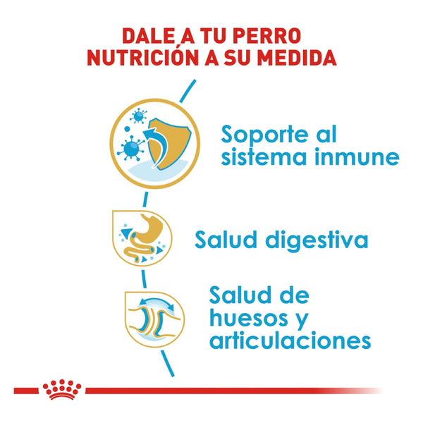 ALIMENTO SECO PARA CACHORRO BULLDOG 13.6KG ROYAL CANIN