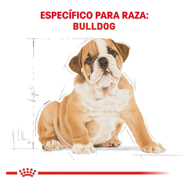 ALIMENTO SECO PARA CACHORRO BULLDOG 13.6KG ROYAL CANIN