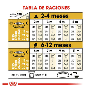 ALIMENTO SECO PARA CACHORRO BULLDOG 13.6KG ROYAL CANIN