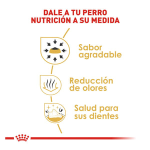 DRY FOOD FOR CHIHUAHUA BREED DOG 4.5KG ROYAL CANIN