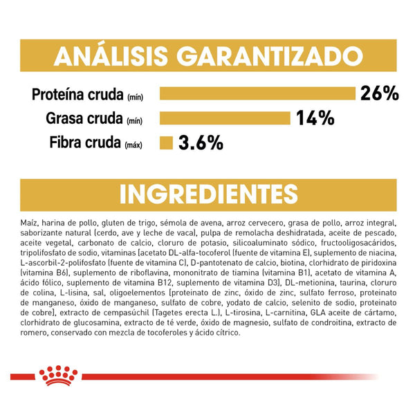 DRY FOOD FOR CHIHUAHUA DOGS 1.1KG ROYAL CANIN