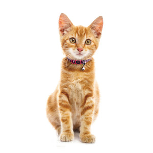 COLLAR PARA GATO DE NYLON ESTAMPADO DOCO