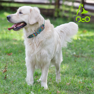 COLLAR TEJIDO PARA PERRO ESTAMPADO DOCO