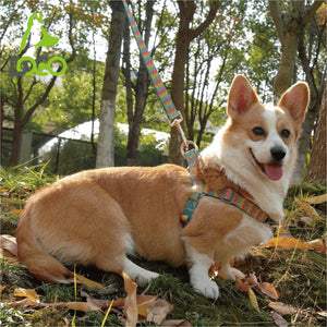 ARNES PARA PERRO TEJIDO ESTAMPADO DOCO