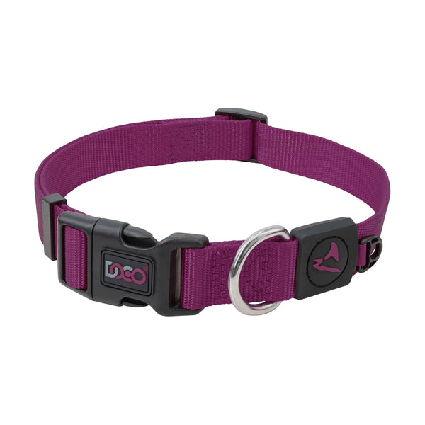 Set de collar y correa para perro DOCO Signature de nylon, correa de 1.2 m