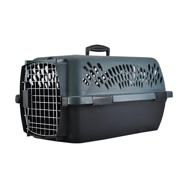 Petmate Pet Taxi transportadora rígida para perro y gato