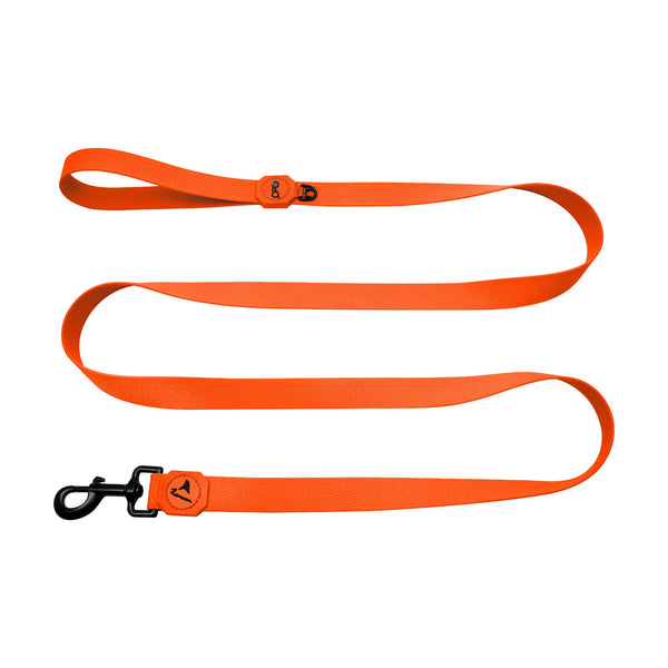 Correa para perro DOCO Jelly Bean impermeable y antiolor, 1.8 m