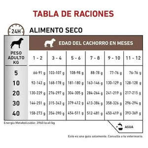 ALIMENTO SECO PARA GASTRO-INTESTINAL PUPPY 4KG ROYAL CANIN