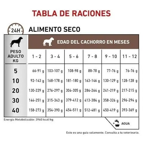 ALIMENTO SECO PARA GASTRO-INTESTINAL PUPPY 4KG ROYAL CANIN