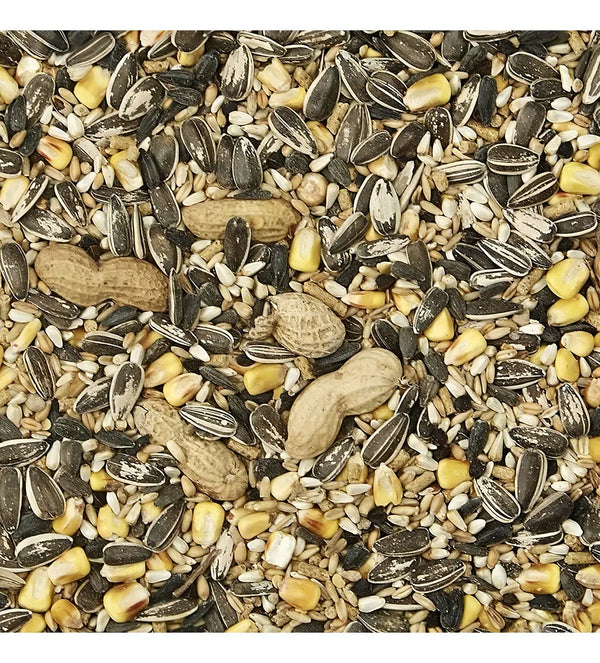 ALIMENTO PARA AVES SUPREME PERICO KAYTEE