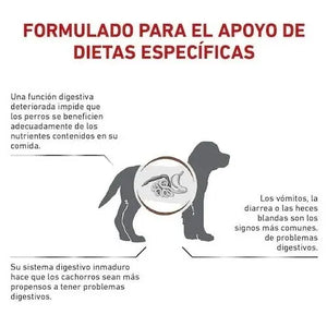ALIMENTO SECO PARA GASTRO-INTESTINAL PUPPY 4KG ROYAL CANIN