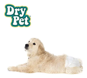 PAÑALES PARA PERRO CH 12 PZAS FANCY PETS