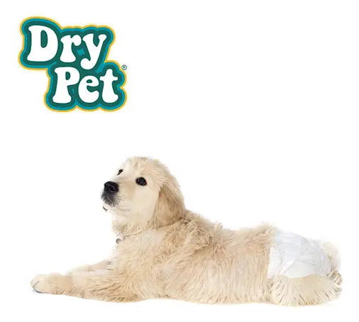 PAÑALES PARA PERRO CH 12 PZAS FANCY PETS