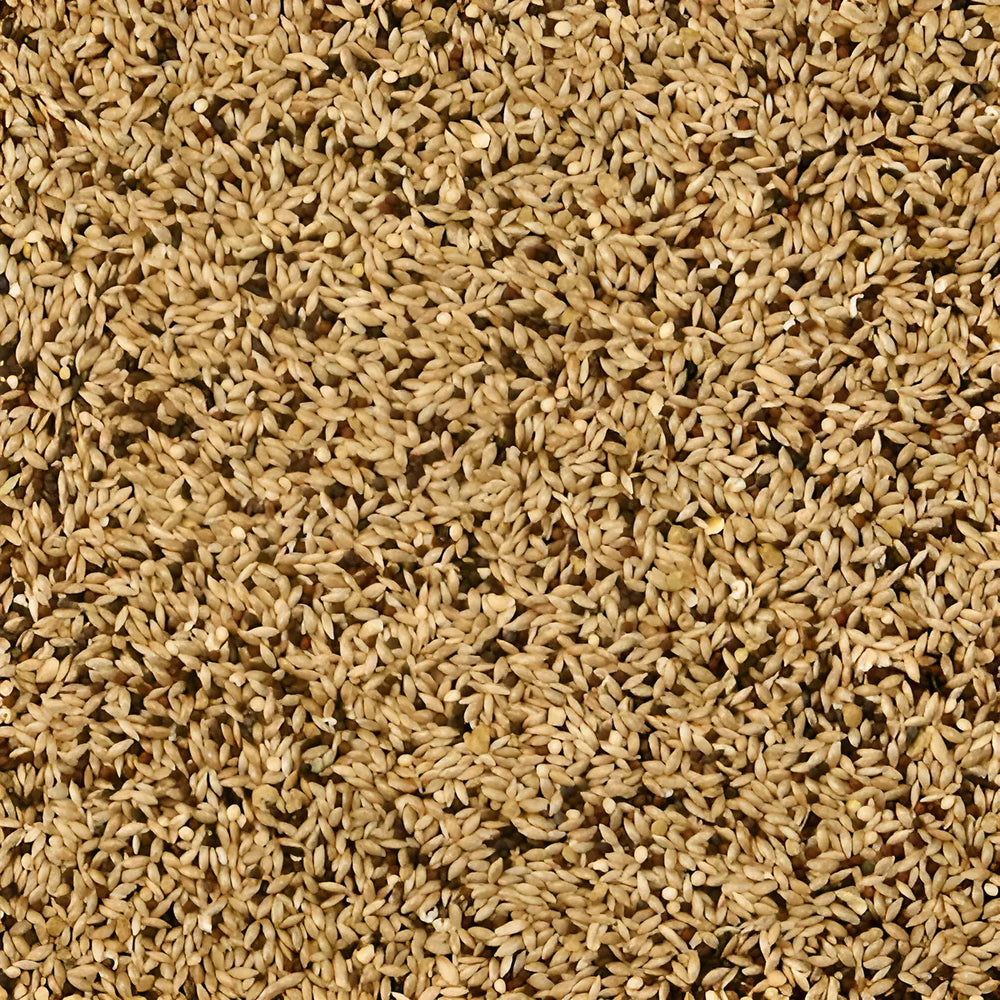 ALIMENTO SUPREME PARA CANARIO FINCH KAYTEE
