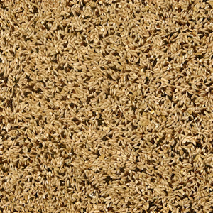 ALIMENTO SUPREME PARA CANARIO FINCH KAYTEE