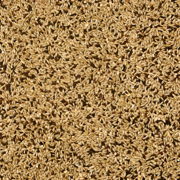 ALIMENTO SUPREME PARA CANARIO FINCH KAYTEE