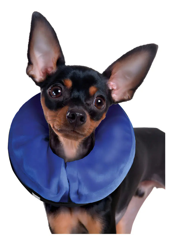 KONG MEDIUM RECOVERY COLLAR