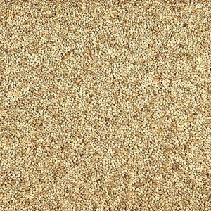 ALIMENTO PARA AVES SUPREME PERIQUITO KAYTEE