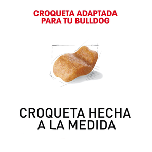 ALIMENTO SECO PARA PERROS RAZA BULLDOG 6.3KG ROYAL CANIN