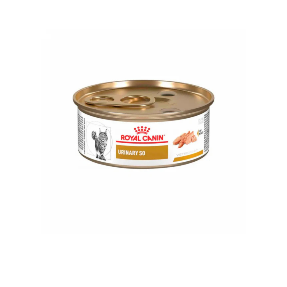 ALIMENTO HUMEDO EN LATA GATO CON PROBLEMA URINARIO ROYAL CANIN