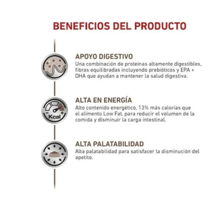ALIMENTO SECO PARA GASTRO-INTESTINAL PUPPY 4KG ROYAL CANIN
