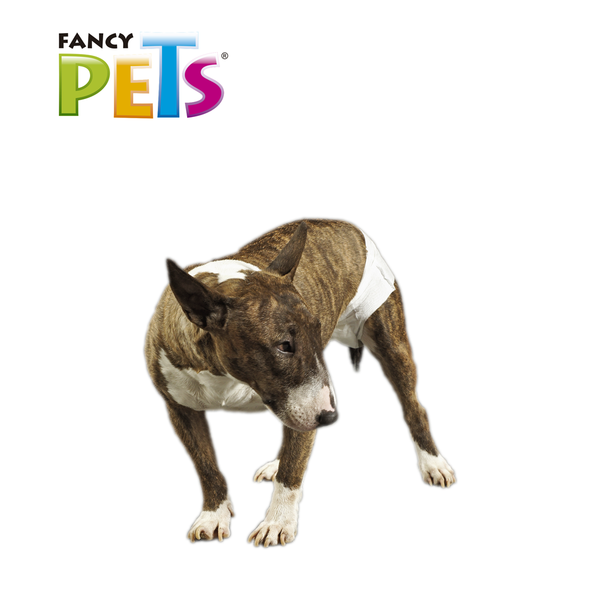 PAÑAL PARA PERRO MED 12 PZAS FANCY PETS