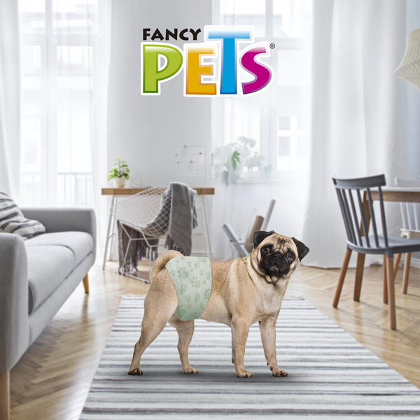 MALE DIAPER S 12 CT FANCY PETS