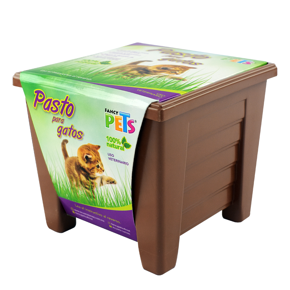 PASTO NATURAL PARA GATOS FANCY PETS