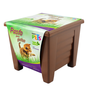 FANCY PETS NATURAL CAT GRASS