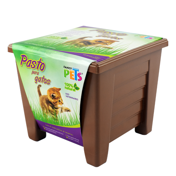 FANCY PETS NATURAL CAT GRASS