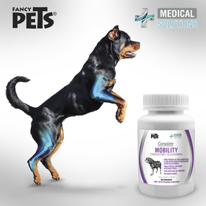 SUPLEMENTO PARA ARTICULACIONES DE PERROS 60 TAB FANCY PETS