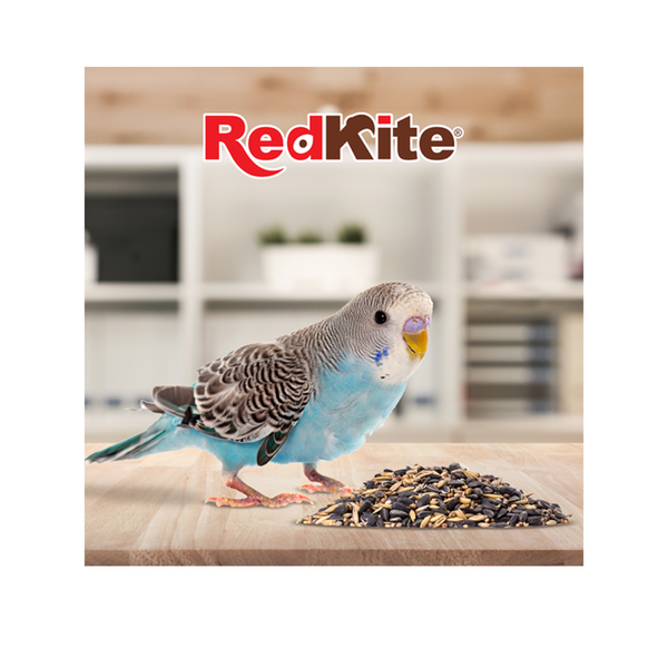 SEED MIX FOR PARAKEETS AND COCKATIELS 500 G FANCY PETS