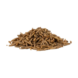 RedKite larva de mosca soldado deshidratada, snack para hurón, erizo y mapache, 30 g
