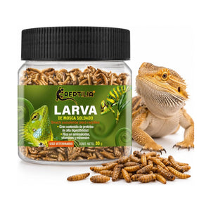 Reptilia larva de mosca soldado deshidratada, snack para reptiles, 30 g