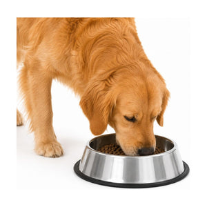 Fancy Pets plato de acero inoxidable con base antiderrapante para perro, 32 oz (907 g)