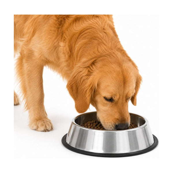 Fancy Pets plato de acero inoxidable con base antiderrapante para perro, 32 oz (907 g)