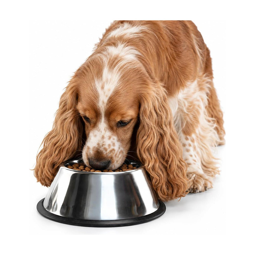 Fancy Pets plato de acero inoxidable para perro de orejas largas