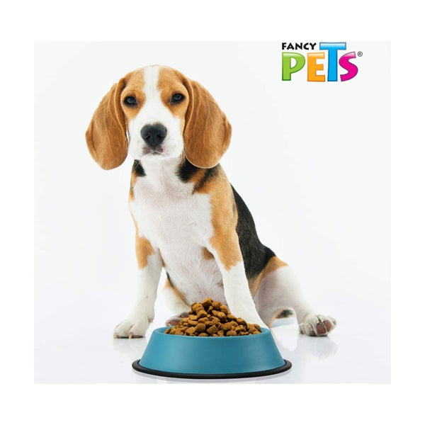 Fancy Pets plato de acero inoxidable de colores con base antiderrapante para perro