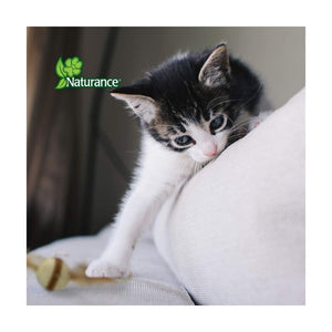 Naturance Eco-Play pelota de fibras naturales con plumas para gato