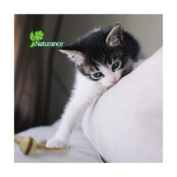 Naturance Eco-Play pelota de fibras naturales con plumas para gato