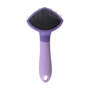 Fancy Pets Expert carda para gato