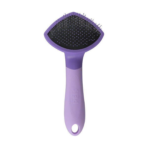 Fancy Pets Expert carda para gato